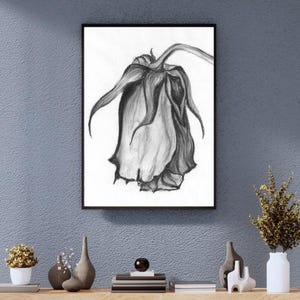 Charcoal drawing. Rose
