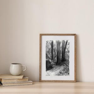 Charcoal drawing. Forest. Digital picture.