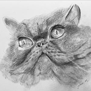 Dessin original d&#39;un persan A5