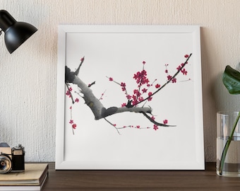 Flor de ciruelo, pintura en tinta china, impresión digital, descarga digital, flor rosa y roja