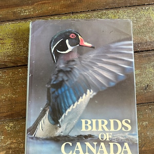 ViNTAGE BooK BIRDS Of CANADA 1988 Frank SHaW Birding Guide Dictionary Bird Facts Learn About Birds Read A Book I Love Canada