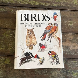 Awesome ViNTAGE BooK BIRDS Coffee Table Book Birds Their WAYS 1979 Readers Digest DICTIONARY Great Illustrations