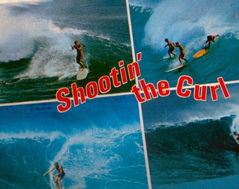 SOLd Lot of 12 SURFING POST CARD Vintage 60's Shootin' the Curl Surfer