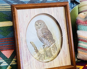 VErY CooL 1970s OWL 3D FRAMED PRINT Vintage Barn Owl SeVENTIES WaLL HaNGING PiCTURE