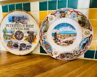 PETRIFIED FOREST PLaTES SOUVENIR Wall Hanging DiSHES ViNTAGE ARiZONA National Park