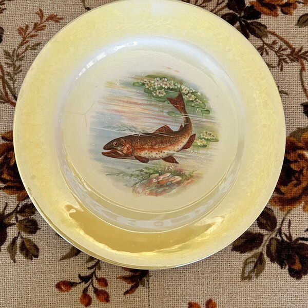 Vintage Fish Plate Etsy