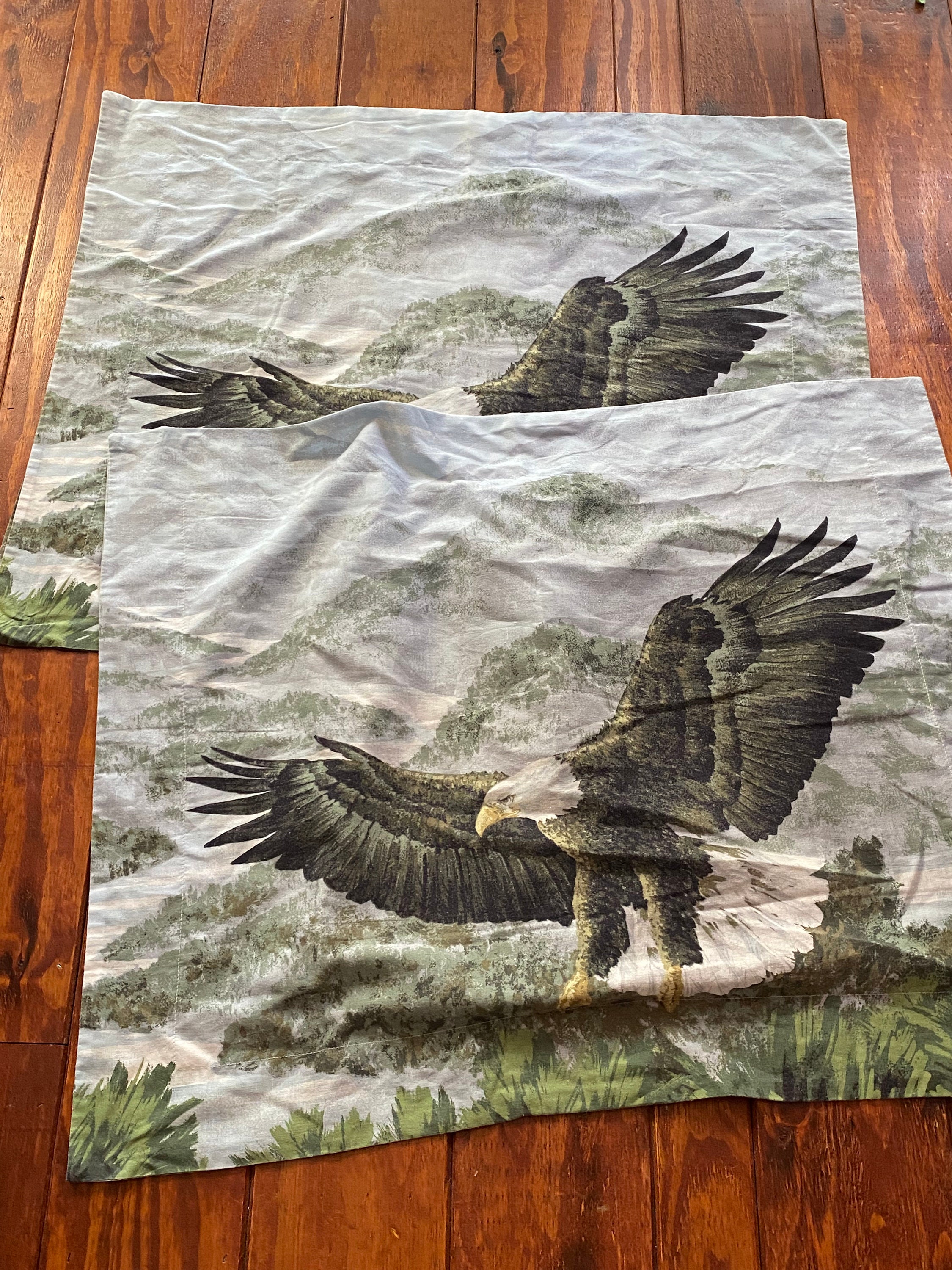 Eagle throw pillow case – skeleton goods