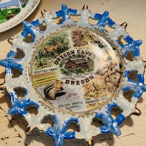VINTAGE StATE SOUVENIR DISHES Plates Oregon Texas Wyoming North Dakota Mount Rainier Arizona Palm Springs SaN Diego Zoo Sold Separately