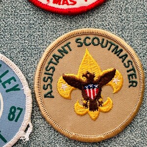 Op de afbeelding: Geborduurde Assistant Scoutmaster-patch met een beige achtergrond en gouden rand. De patch heeft een gouden fleur-de-lis met een bruine adelaar en een rood-wit-blauw schild. De tekst "ASSISTANT SCOUTMASTER" is groen.
