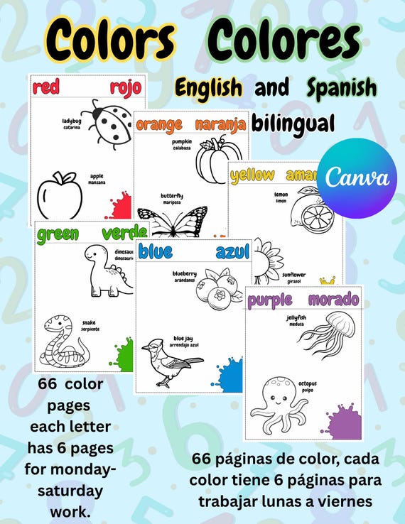 Basic Colors In Spanish