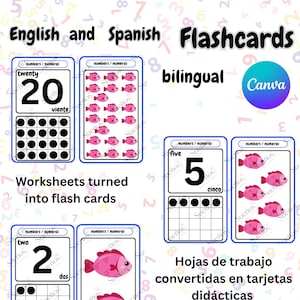 Basisnummers Numeros Flashcards * canva download