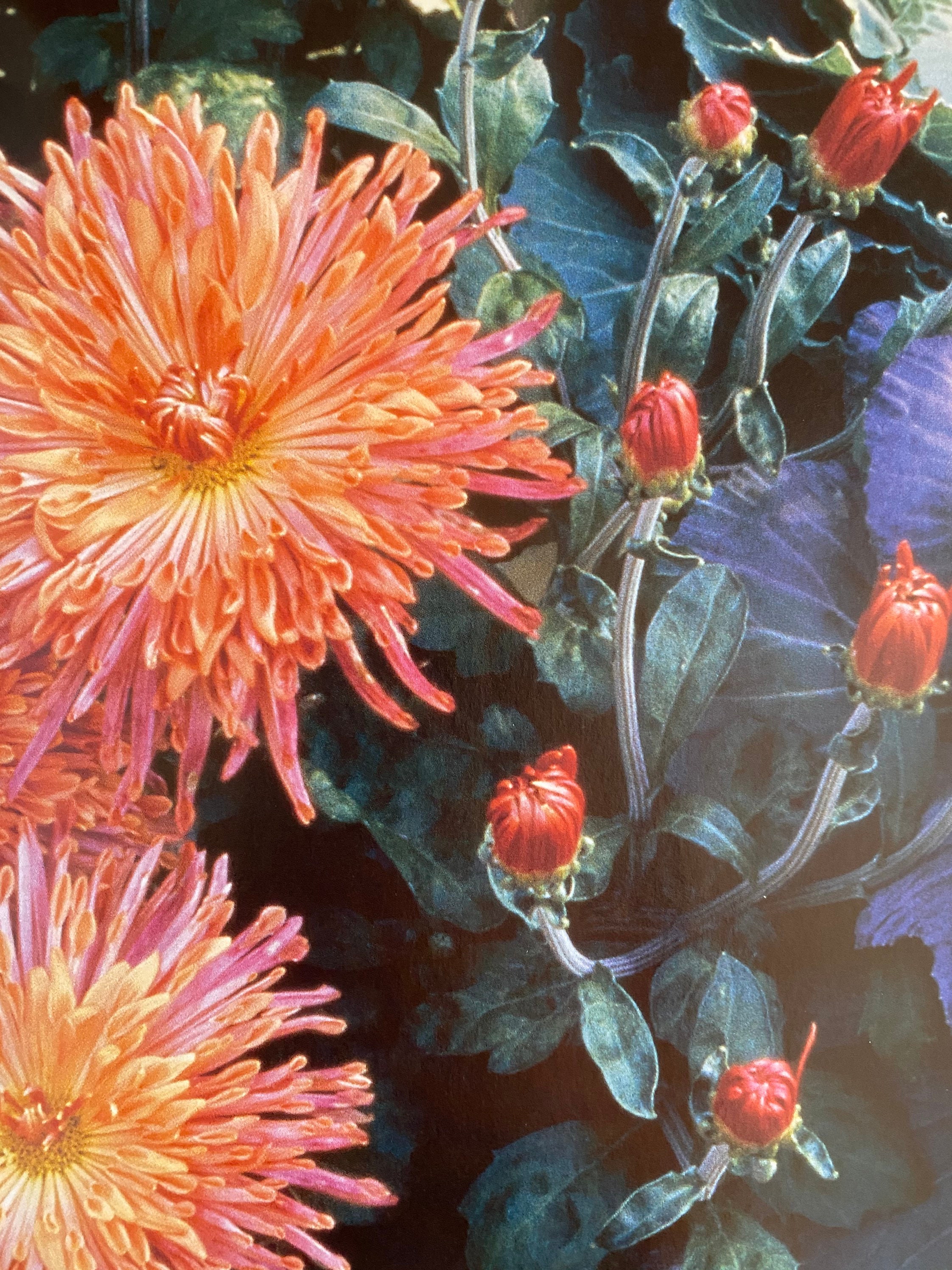 Mejores Hogares y Jardines Color del Jardín | Etsy