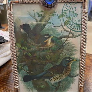 Picture Frame - 5 x 7 Vintage Metal Picture Frame