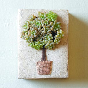 Handmade Miniature House Succulent Planter, Cute Cafe Shaped Ceramic Flower Pot, Tiny Village Fairy Garden Pot, Unique Housewarming Gift