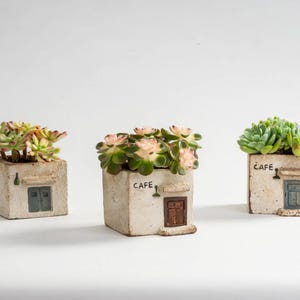 May include: Three square, concrete-look planters, each with a miniature cafe facade. The planters hold succulents with green and pink leaves. The planters have small doors and the word "CAFE" is printed on one. The planters are on a white background.