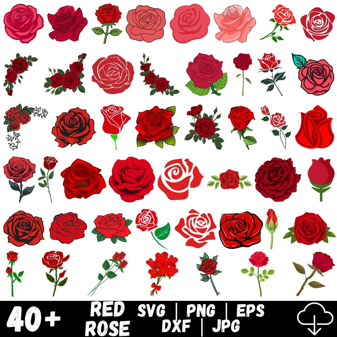 Roses SVG Bundle | Roses Silhouette | Rose Clipart | Rose Cricut | Rose ...