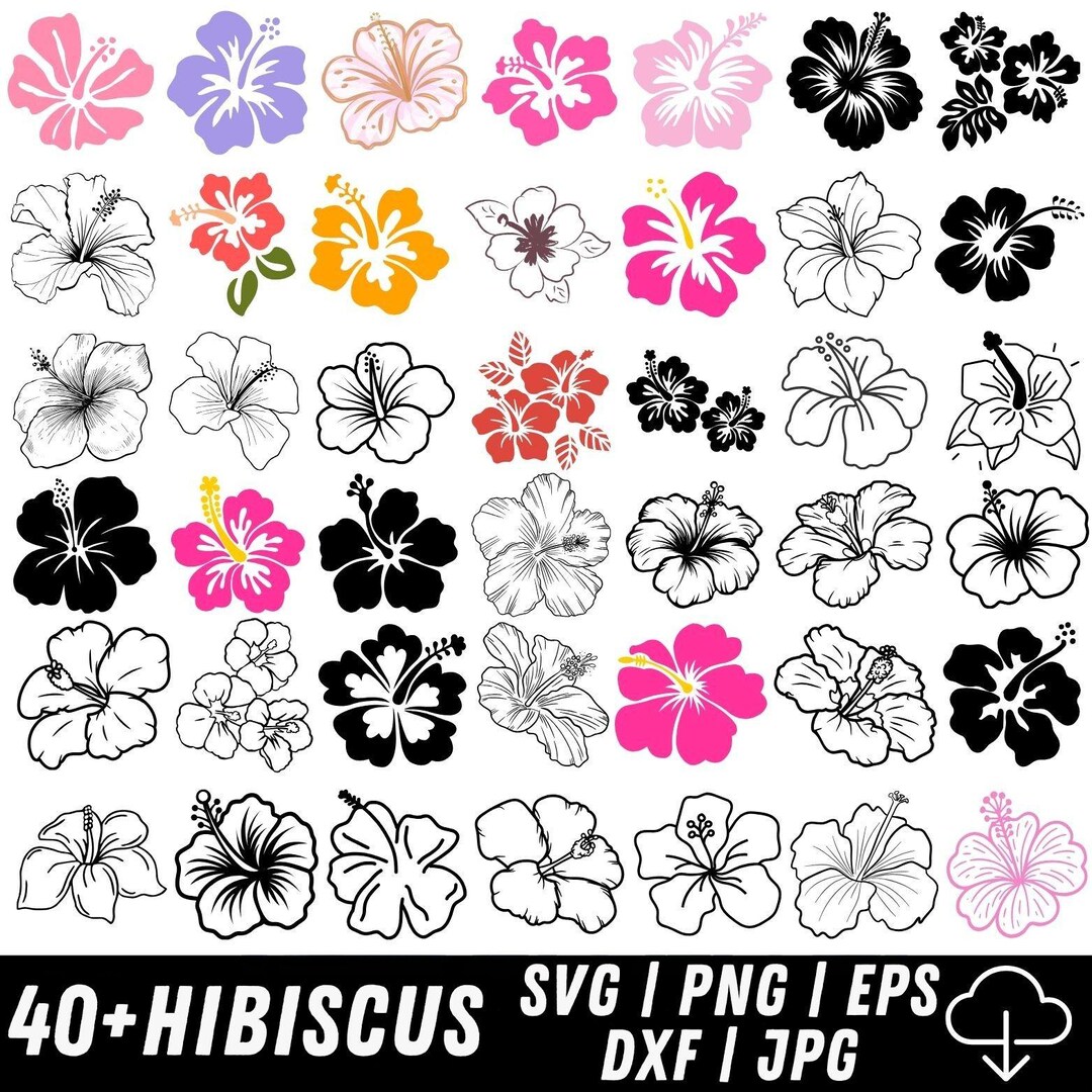 Hibiscus Flowers Svg Bundle, Hibiscus Svg Png, Tropical Floral Clipart ...