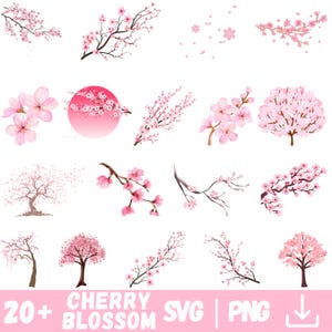Op de afbeelding: Een verzameling roze kersenbloesem illustraties in verschillende stijlen, waaronder takken, bomen en individuele bloemen. De afbeelding bevat de tekst "20+ Cherry Blossom SVG | PNG".