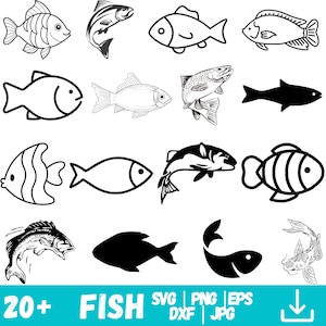 Può includere: Una collezione di oltre venti illustrazioni di pesci in vari stili, tra cui disegni a linea e silhouette. I disegni presentano diverse specie e forme di pesci, con uno striscione turchese in basso che recita "20+ FISH" insieme alle abbreviazioni dei tipi di file.