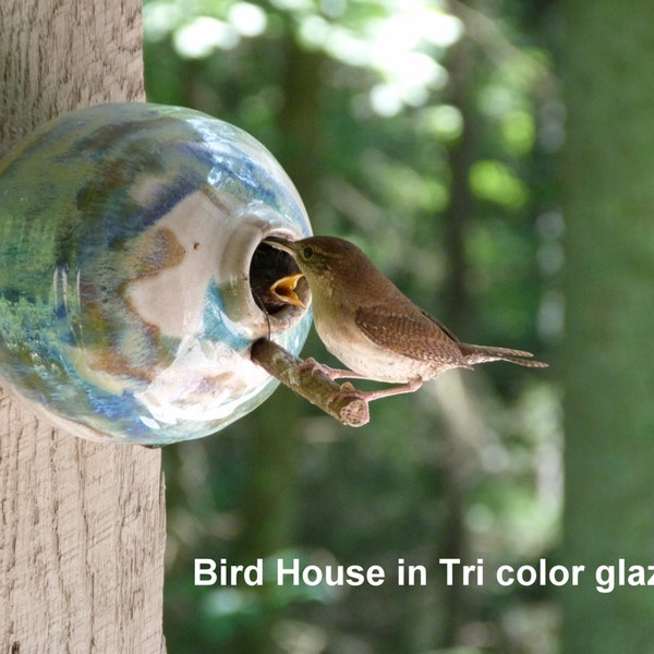 Pottery Birdhouse  bottle for wrens finches and chickadees  In Tri color glaze ***READY TO SHIP