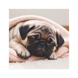 Cute Dog Car Magnet, Pug Car Magnet, Pet Lover Gift, Animal Magnet, Car Decor, Dog Owner Accessory