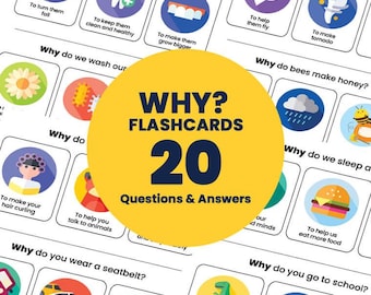 May include: A set of 20 colorful flashcards with questions and answers about everyday life. The flashcards feature illustrations and the text "WHY? FLASHCARDS 20 Questions & Answers".