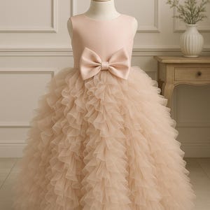 Blush Pink Ruffle Tulle Baby Girl Dress | Fairy Tale Birthday Gown | Toddler Princess Dress | Elegant Kids clothing