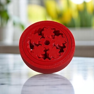 2-in-1 Gyro and Gear Fidget Spinner