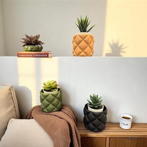 May include: A selection of decorative planters with succulents. The planters are shaped like pineapples and other geometric designs. The colours are green, black, and yellow. A small coffee cup with the name "Chad" is also visible.