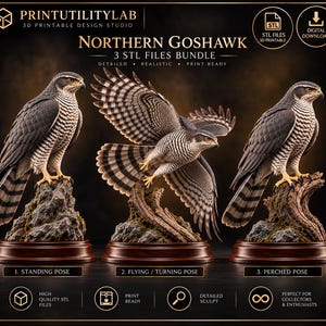 May include: A digital download bundle of three Northern Goshawk 3D printable STL files. The images show a standing, a flying, and a perched hawk, each with detailed brown and white plumage, yellow talons, and dark eyes, mounted on textured bases.