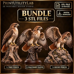 Puede incluir: Un paquete de descarga digital de tres archivos STL con halcones de cola roja. El primero sobre un tocón, el segundo en un guante de cetrería y el tercero sobre una roca. El texto incluye PRINTUTILITYLAB y BUNDLE 3 STL FILES.