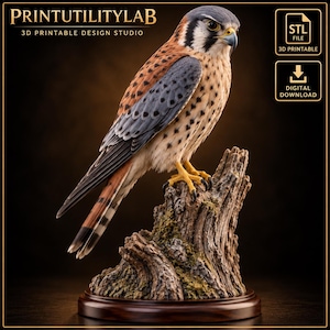 Może przedstawiać: Cyfrowy plik do druku 3D od PRINTUTILITYLAB przedstawiający szczegółowego pustułkę amerykańską siedzącą na teksturowanym pniu drzewa. Ptak ma brązowe, szare i białe pióra w czarne kropki, żółte stopy oraz ostry dziób.