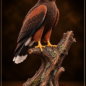 Puede incluir: Un archivo digital imprimible en 3D de un halcón posado sobre un tocón de árbol texturizado con detalles de musgo. El halcón tiene plumas de color marrón oscuro y rojizo, garras amarillas y un pico afilado. El texto PRINTUTILITYLAB es visible.