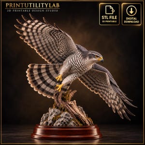 May include: A 3D printable digital download STL file of a hawk in flight with wings spread wide. The bird features grey and white barred feathers, yellow talons, and a sharp beak. It is perched on a textured rock and wood base on a stand.