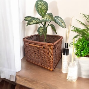 Puede incluir: Una cesta cuadrada de mimbre marrón con asa, que contiene una planta verde con hojas estampadas. La cesta está sobre una superficie de madera, con una cortina blanca y otras plantas al fondo. La cesta mide aproximadamente 30 cm de ancho.