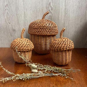 Può includere: Tre cesti intrecciati a forma di ghianda di diverse dimensioni. I cesti sono realizzati in vimini marrone chiaro e hanno un aspetto strutturato. Ogni cesto ha una maniglia a forma di stelo sulla parte superiore. Piante secche in primo piano.