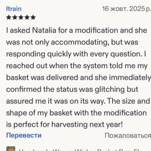 May include: A customer review titled Itrain dated October 16, 2025, featuring a five-star rating. The text describes a positive experience with a seller named Natalia regarding a custom basket modification, confirming delivery status and satisfaction.
