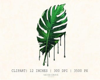 10 Dripping Monstera Leaf Clipart PNG – Tropical Botanical Art for Jungle Aesthetic, Digital Decor, Sublimation Design