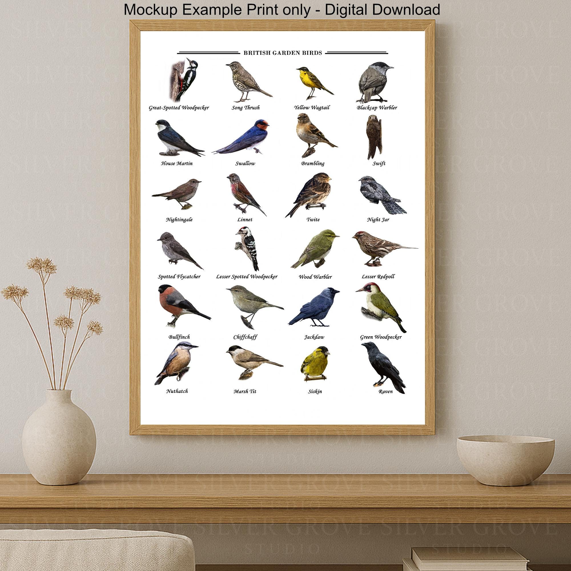 British Garden Birds Poster Set – Printable Bird Identification Chart ...