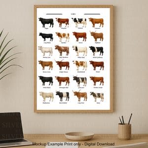 Cow Breeds A3 Poster | Illustrated Cattle Identification Chart | Printable Farm Animal Wall Art | Digital Download for Kids & Farmers