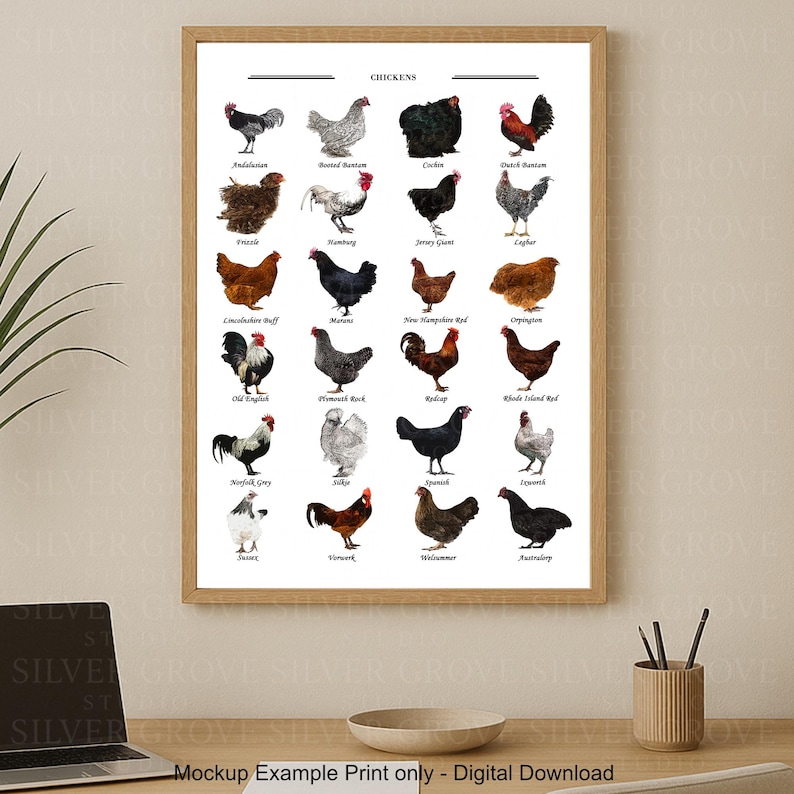 May include: A framed print featuring illustrations of various chicken breeds, each labeled with its name. The artwork showcases a variety of colors and patterns, including black, white, brown, and red. The print is displayed on a wooden desk.