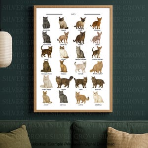 Cat Breeds Chart: Ultimate Guide to Popular Feline Types