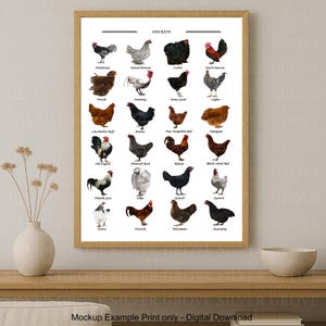 May include: A framed print featuring illustrations of various chicken breeds, including Andalusian, Cochin, and Leghorn. The print is labeled "CHICKENS" at the top and is displayed on a wooden surface with a vase and bowl.