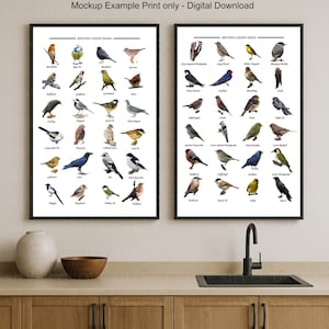 British Garden Birds Poster Set - Druckbare Vogelidentifikationskarte Digitaler Vogelverfolgungsführer für Naturliebhaber Digitaler Download 2er-Set