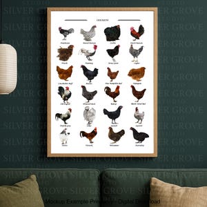 May include: A framed print featuring illustrations of various chicken breeds, each labeled with its name. The artwork showcases a variety of colors and patterns, with the word "CHICKENS" at the top. The print is displayed in a wooden frame.