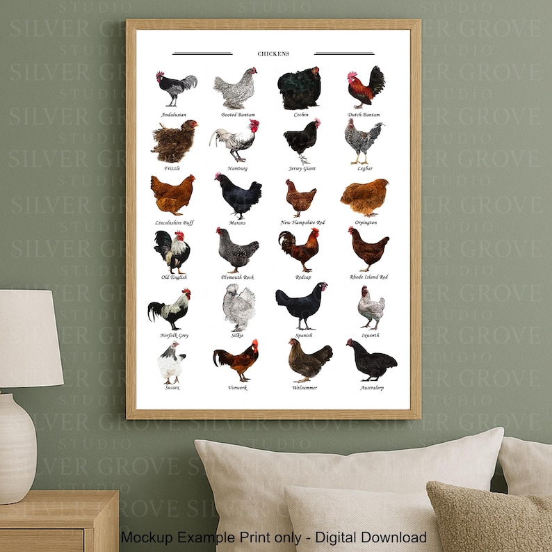 May include: A framed print featuring illustrations of various chicken breeds, each labeled with its name. The artwork showcases a variety of colors and patterns, including black, white, brown, and red. The print is a digital download.