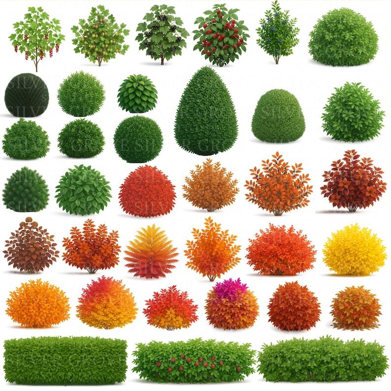 Bush Form Bush & Shrub Clipart Bundle: Seasonal Foliage PNG (transparent Download ...