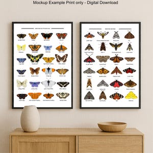 2 British Moths and Butterflies Identification Poster Set of 2 – Vintage Nature Wall Art Design – Entomology Decor,  Digital Download