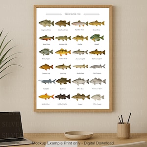 Freshwater Fish A3 Poster | Fishing Species Chart | Printable Wall Art for Anglers & Kids | Digital Download | Lake Fish ID Guide