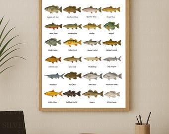 Freshwater Fish Poster: Angler Species ID Chart (Digital Download A3 Size PDF & JPEG)